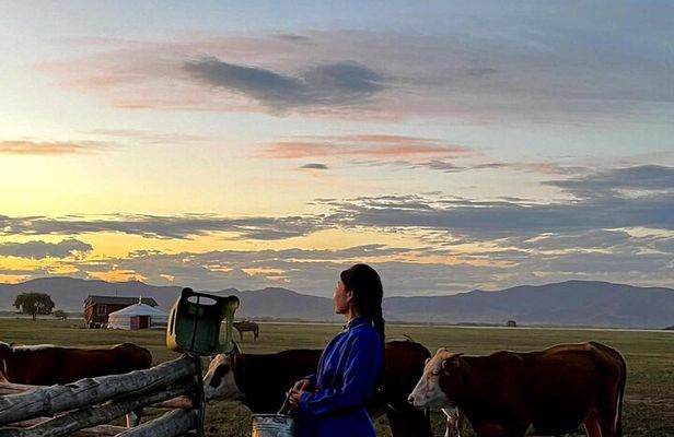 4 Day Nomadic Life Experience In Northern Mongolian