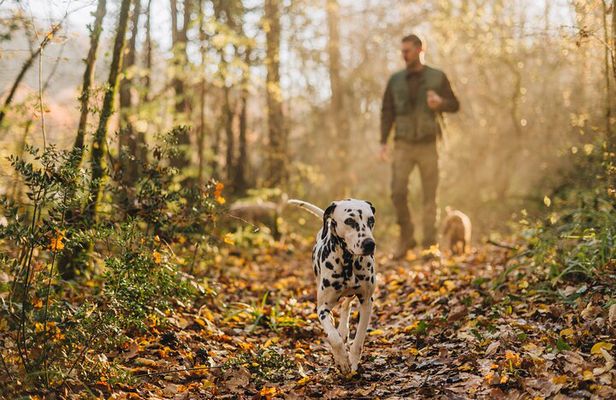 Truffle hunting for Nature Enthusiasts