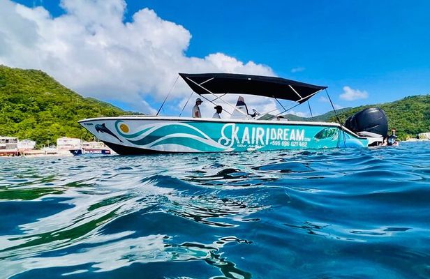 Speed Boat Dolphins and Turtles Full Day