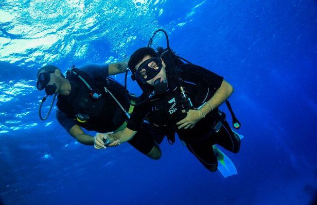 Marsa Mubarak Snorkeling Trip,2 intro dive & Transfer :Marsa Alam