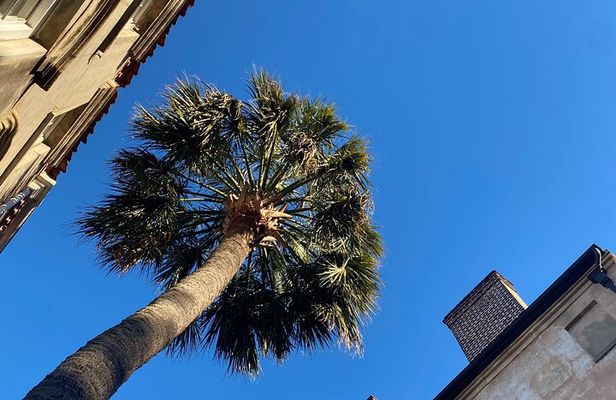 Jewish History Private Walking Tour of Charleston