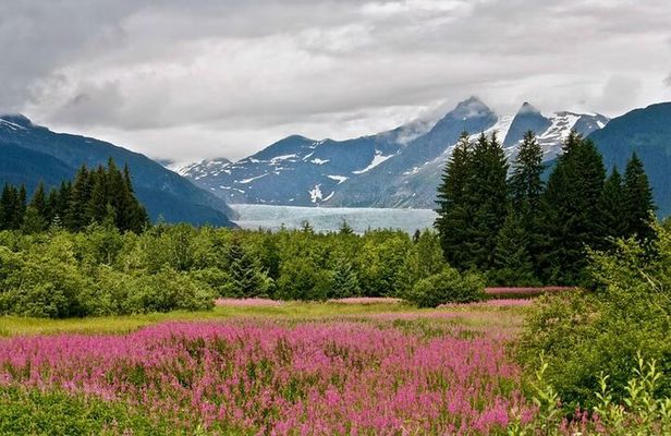 Juneau Private 3 Hour Sightseeing Tour with a Local 
