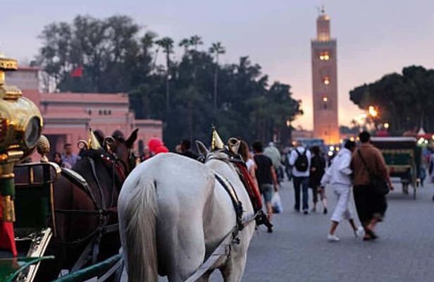 Marrakesh: One-hour trip to traditional horse-drawn carriage