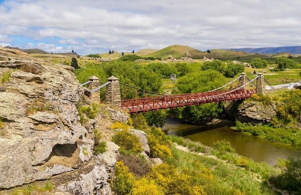 Queenstown to Dunedin Including Train, Small-Group Tour (One-Way)