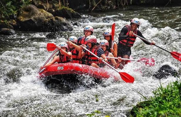 White Water Rafting Ubud Ayung River with Lunch - Best value!