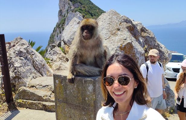 Gibraltar Day Trip from Cádiz Shore with Rock Tour