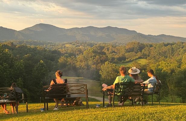 Cozy Farm Experience with Wagon Wheels and Acoustic Meal