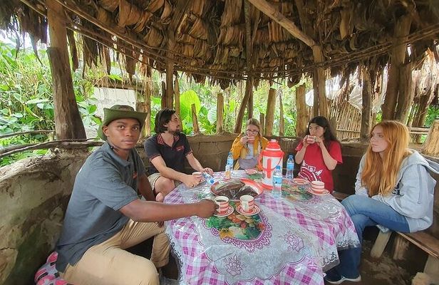 Materuni waterfalls and Coffee experience Day Trip.