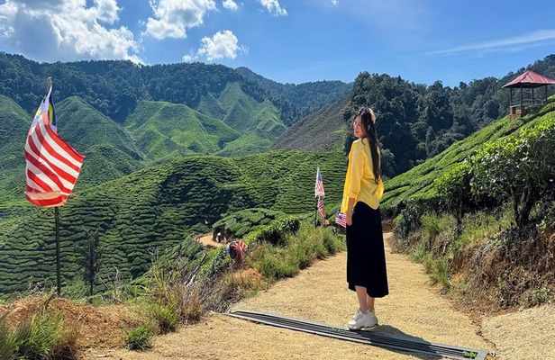 Cameron Highland Full Day Tour from KL City (Private)