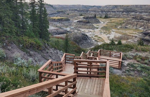 Badlands Small Group Guided Tour: Calgary to Drumheller Dinosaurs