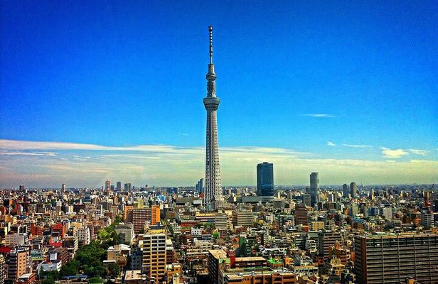 Akihabara Ultimate Anime & Gaming Tour with Maid Café Experience