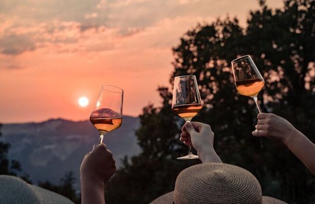 Dubrovnik Walk & Wine: Old Town Walking tour with a Glass of Wine