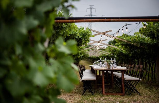 Benazzoli Wine Experience