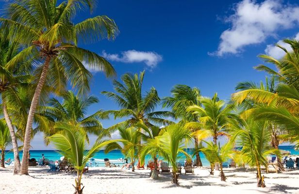  Beautiful Saona Island