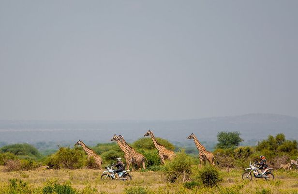 One-Day Motorbike Adventure