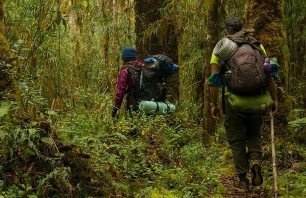 Rincón de la Vieja Volcano Hike & Crystal-Blue Swimming Adventure