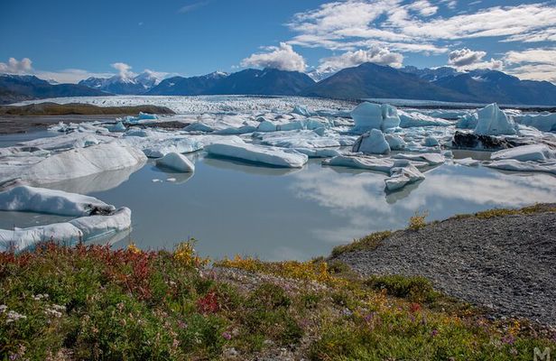 Scenic Helicopter Flight-60 Minutes-Anchorage Area