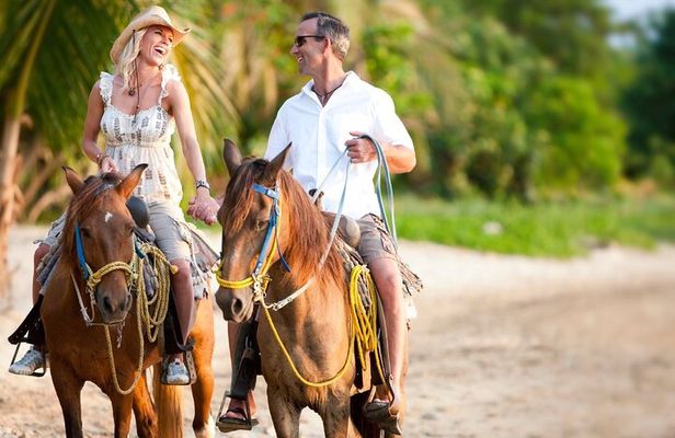 Horseback Riding Adventure to Macao Alto Beaches in Punta Cana