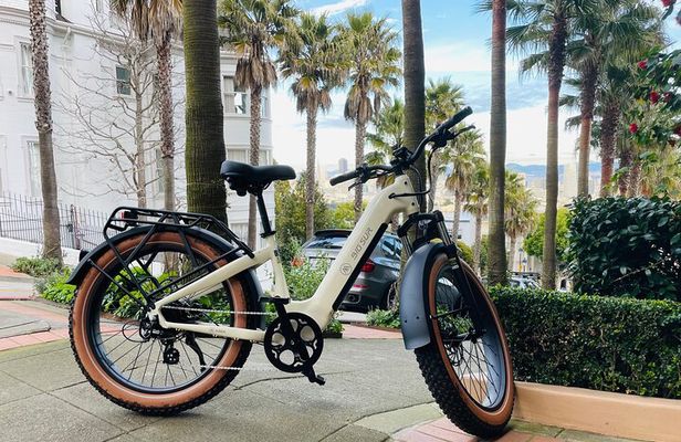 Guided E Bike Tour in San Francisco