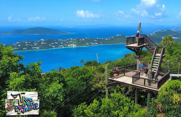Tree Limin' Extreme Zipline