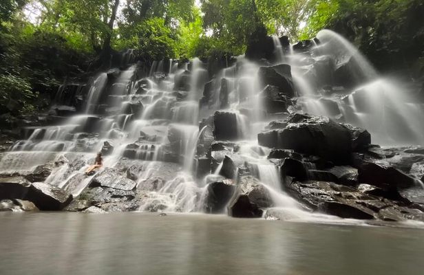 Best Of Hidden Waterfall And Ubud Private Tours