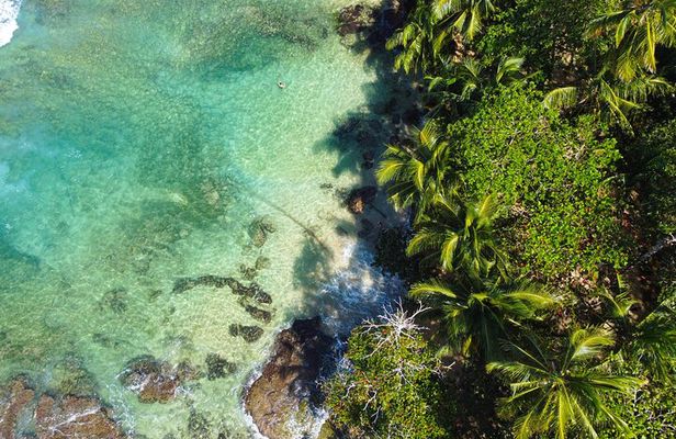 Private Caribbean Tour: Puerto Viejo & Manzanillo from San José