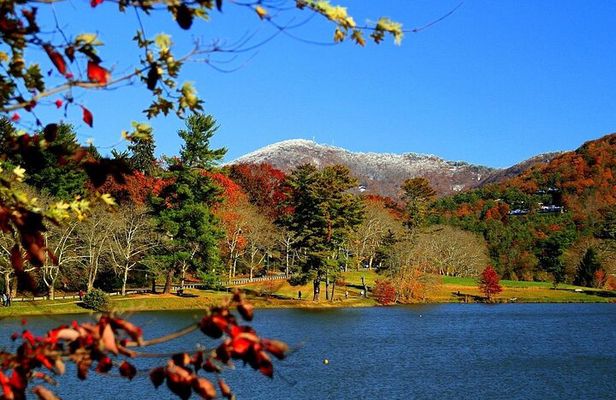 Asheville Sightseeing and Party Tour