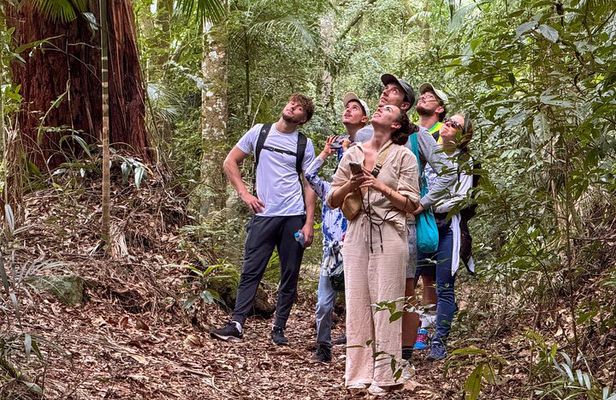 Tijuca Forest: Tour with Waterfalls and Caves