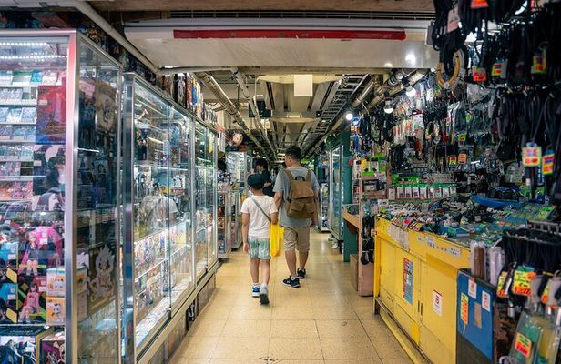 Akihabara Anime & Game Adventure Walking Tour (Group or Private)