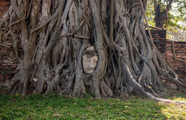Explore Ancient Ayutthaya Historical Park Day Tour in Bangkok