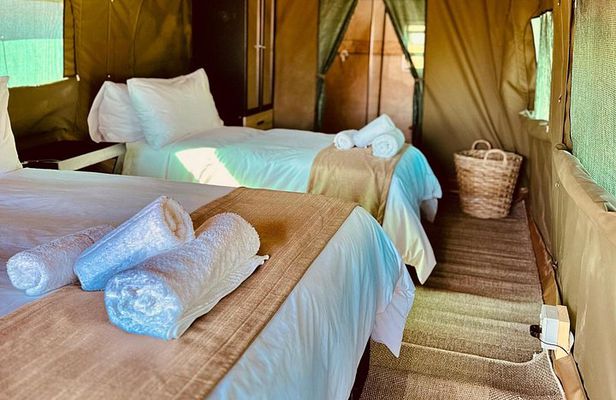 2 Day Pilanesberg Camping Safari from Johannesburg