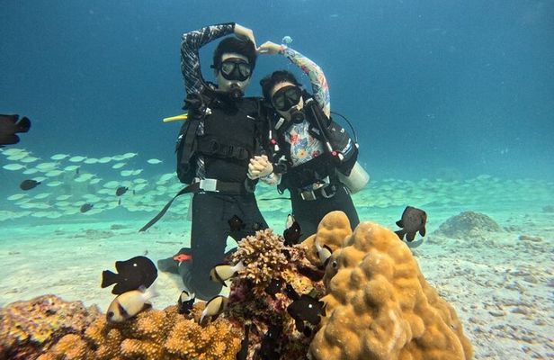 Phuket Dive Trip To Racha Island Experience & Relax Coral Island