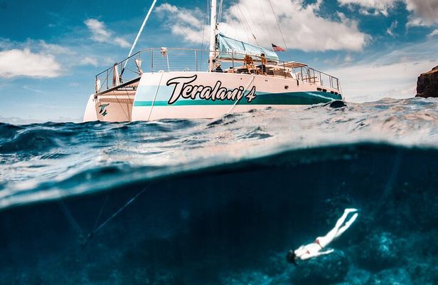 Maui: Kaanapali Beach 5-hour Snorkel w/ BBQ Lunch & Open Bar 