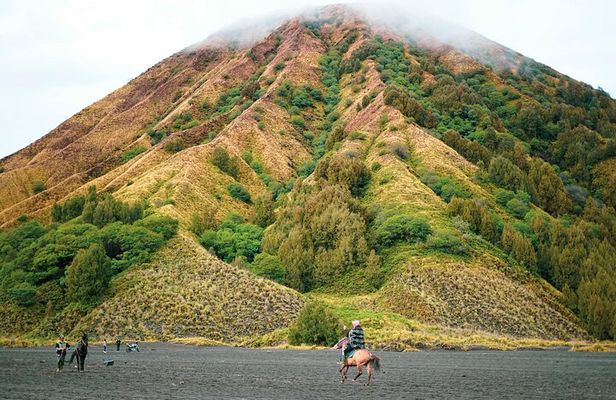 From Yogyakarta to Bali : Bromo and Kawah Ijen in 3 Day Adventure