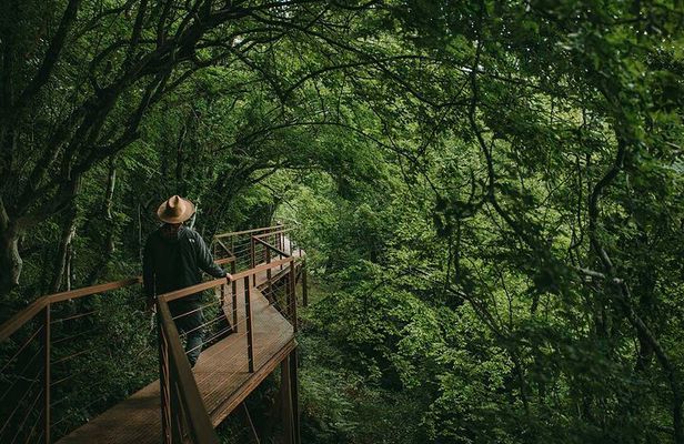 Martvili Canyon and Prometheus Cave Day Adventure Private tour