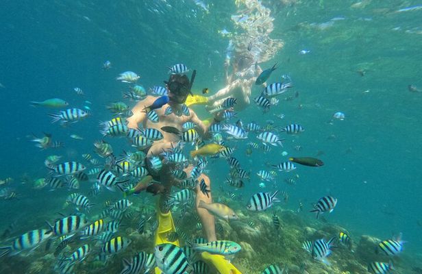 Lombok: Secret Gili Private Snorkeling Boat Trip