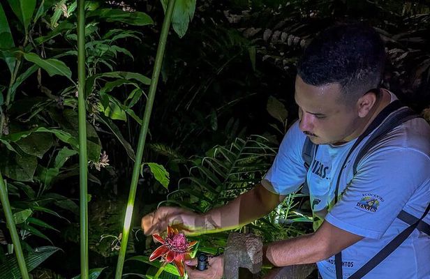 La Fortuna Night Tour 2hrs Private Rainforest Reserve