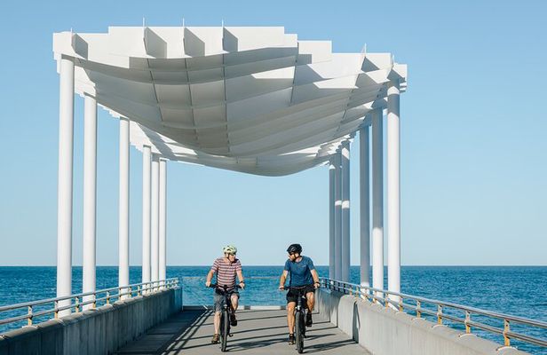 Napier E-bike Hire