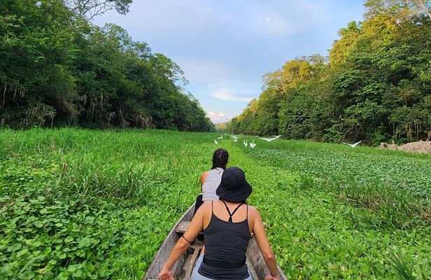 Amazon Jungle Tour From Iquitos (4 Days)