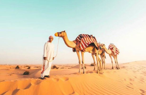 Camel ride in to deep desert with pick and drop