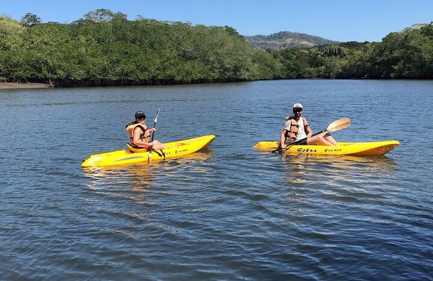 Kayak Tour of Curú's Mangrove and Bay Ecosystem