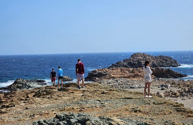 Mykonos Island Private Tour | Explore Like a Local in 4 Hours