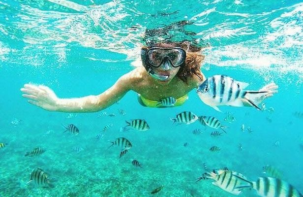 Snorkel in the Crystal Waters of Zanzibar