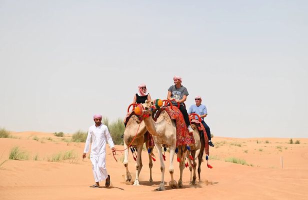 57 Camel Voyage + Heritage Desert Experience
