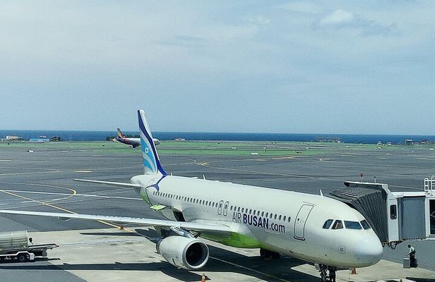 Taipei Layover City Highlights Tour with Pickup