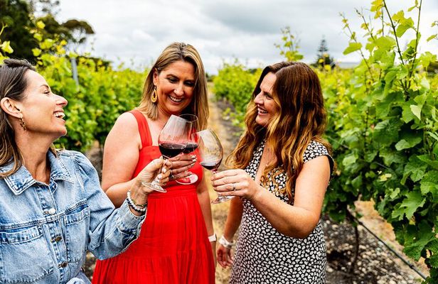Hawkes Bay Wine & Local Producers Tour | Award Winning | 6 hours