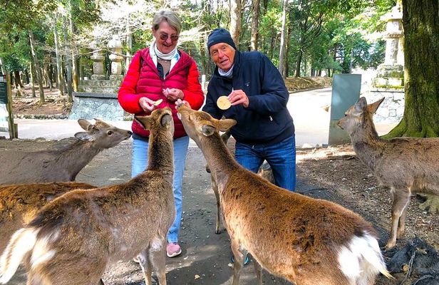 Nara Private Custom Walking Tour