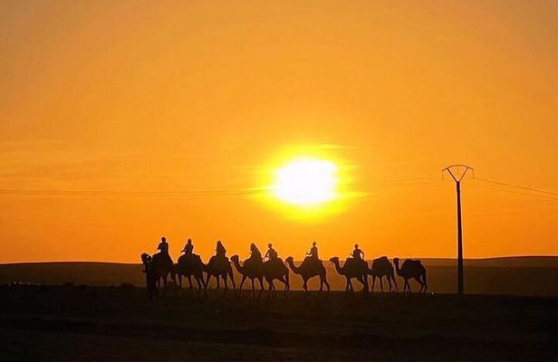 Agafay Desert Sunset Camel Ride & Dinner with fire show