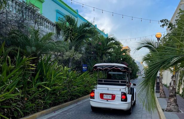 Mazatlan Pulmonia Experience