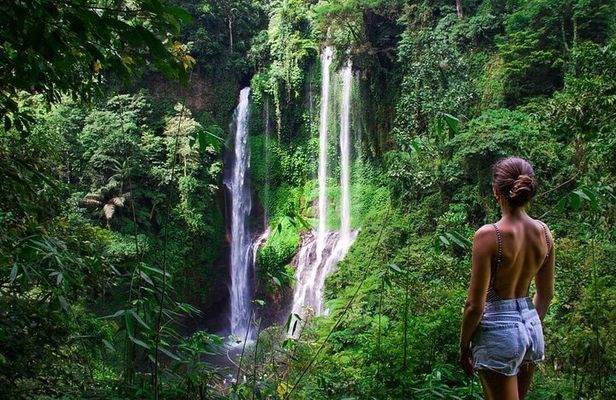 Hidden Bali Gems Sekumpul, Sacred Temples and Jatiluwih